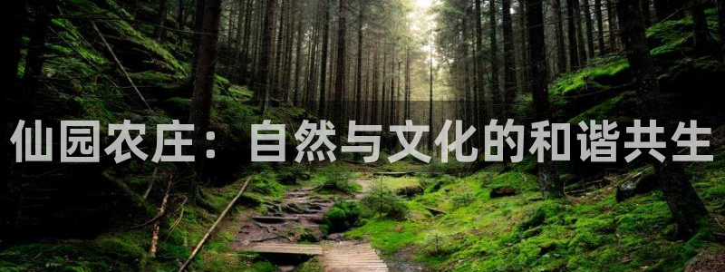 pg电子哪个更容易出奖