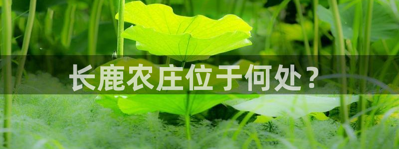 pg电子游戏寻龙夺宝