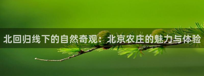 pg电子大奖爆分视频