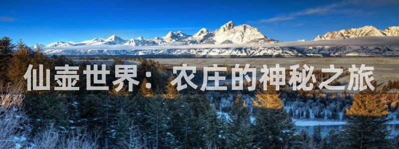 pg电子摇钱树爆分欣赏