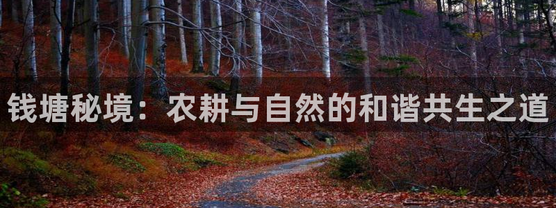 pg电子app下载官网