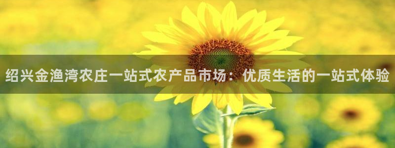 pg电子寻宝黄金城视频