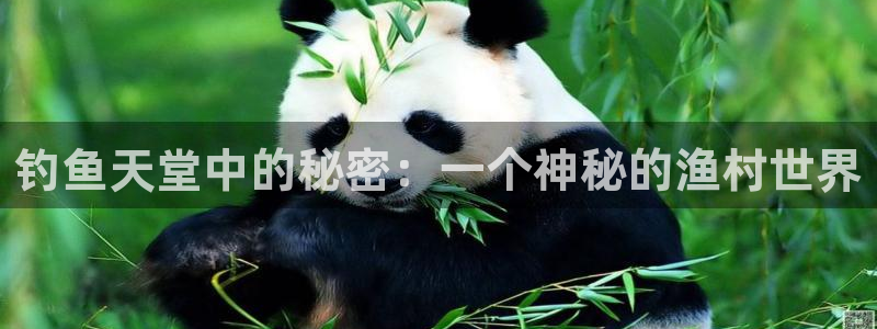 pg电子可靠软件