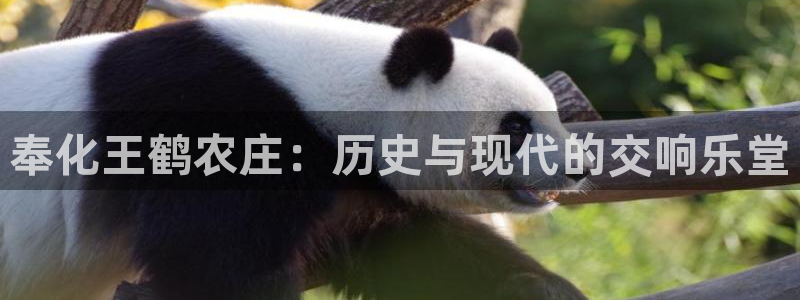 pg电子有规律吗