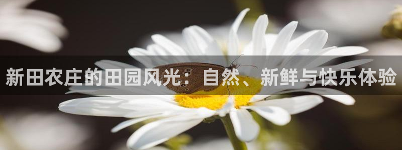 pg电子游戏试玩网址