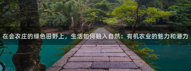 pg电子有哪些平台