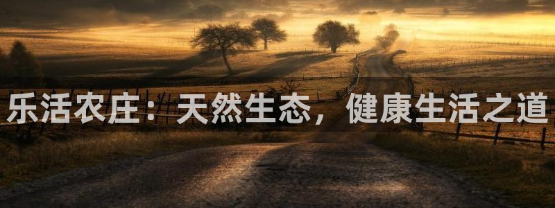 pg电子各大网站