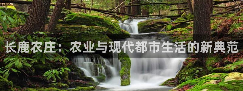 pg电子玩哪些游戏