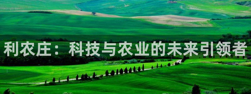 pg电子靠谱网站