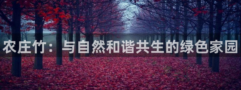 电子游戏PG亡灵大盗