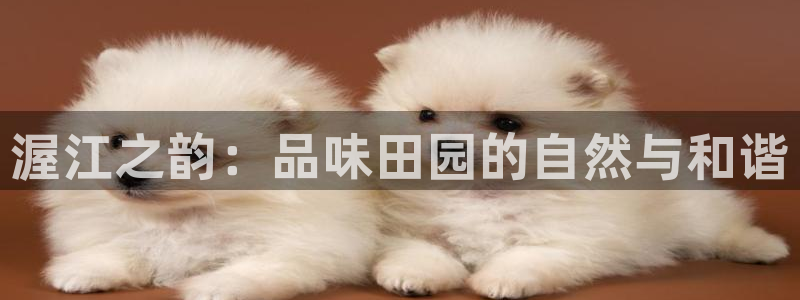 pg电子游戏试玩网