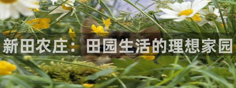 pg电子溏心风暴视频