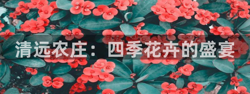 pg阿拉丁神灯电子