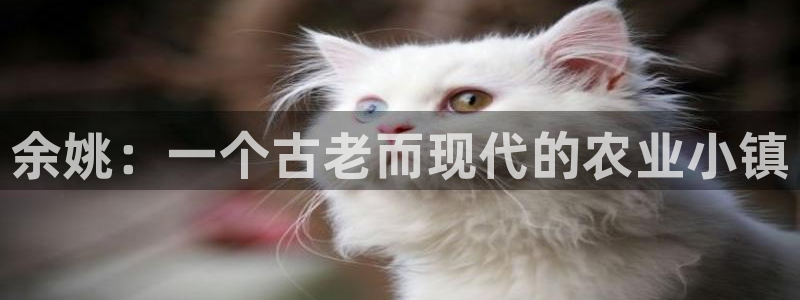 pg电子爆大奖图片