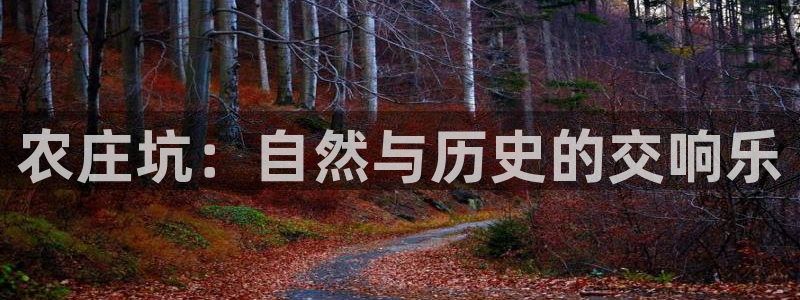 pg电子游戏迎财神视频