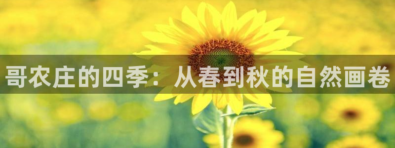 澳门PG电子游戏