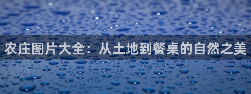 pg电子赏金女王攻略