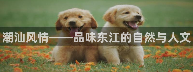 PG电子爆分辅助工具