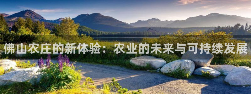 pg电子app下载官网