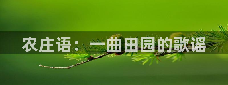 pg电子艳后之谜视频