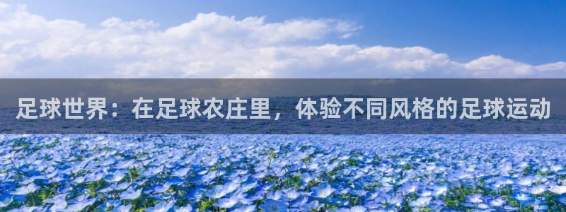 pg电子游戏国外官网