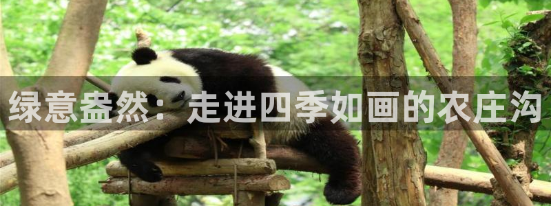 金沙麻将胡了pg电子