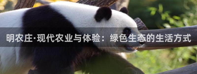 pg电子游戏搭建