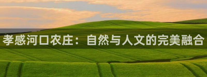 pg电子爆分技巧