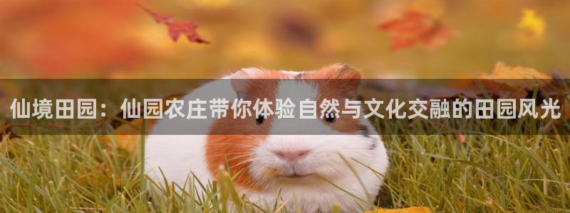 PG电子横财来了